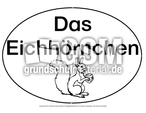 Mindmap-Eichhörnchen.pdf